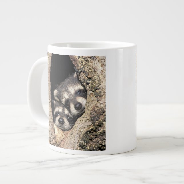Caneca De Café Grande Mapeh guaxinins em cavidade de árvore Procyon (Frente Esquerda)