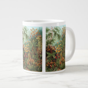 Caneca De Café Grande Muscinae antigos, plantas de musgo por Ernst Haeck