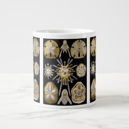 Caneca De Café Grande Ouriços-do-mar Vintage Dólares de Areia por Ernst