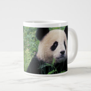 Caneca De Café Grande Panda gigante na grama, Vale de Wolong, Sichuan