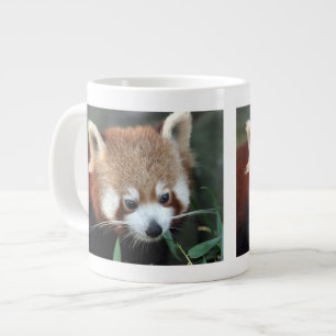 Caneca De Café Grande Panda Vermelho, Taronga Zoo, Sydney, Austrália