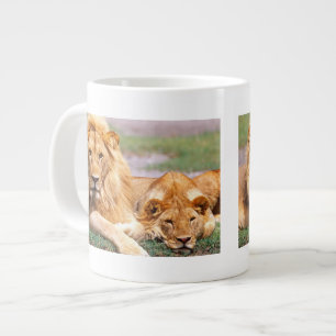 Caneca De Café Grande Par de Leões Africanos, Panthera leo, Tanzânia