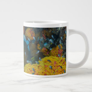 Caneca De Café Grande Peixe Entre o Recife de Coral