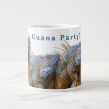 Quana Festa?