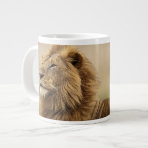 Caneca De Café Grande Quênia, Masai Mara   Leão macho