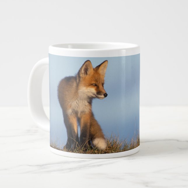 Caneca De Café Grande raposa-vermelha, Vulpes vulpes (Frente Esquerda)