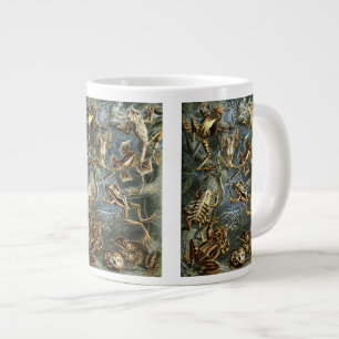 Caneca De Café Grande Rãs e Sapos Vintage Batrachia por Ernst Haeckel