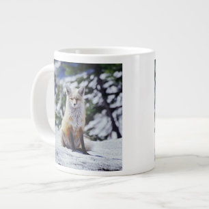 Caneca De Café Grande Red Fox sentado no banco de neve, Vulpes, Monte.