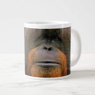 Caneca De Café Grande Retrato de Orangutango Macho, Geórgia, EUA