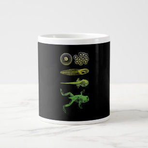 Caneca De Café Grande Sapo Tadpole Metamorfose Ciclo de Vida Biologia