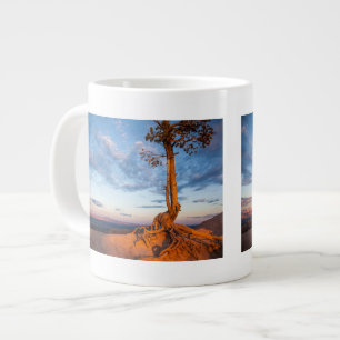 Caneca De Café Grande Tree Clings to Ledge, Bryce Canyon National Park
