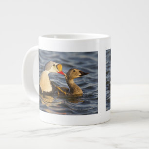 Caneca De Café Grande Um par de eiders-reis cortejando em uma lagoa da t