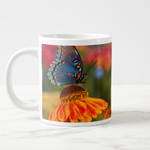 Caneca De Café Grande Uma Spicebush Swallowtail, Papilio troilus