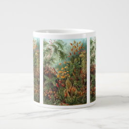Caneca De Café Grande Vintage Muscinae, Moss Vegetais de Ernst Haeckel