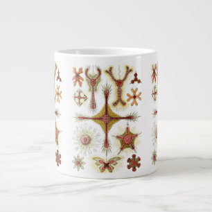 Caneca De Café Grande Wild Chamomile por Ernst Haeckel, Vintage Nature