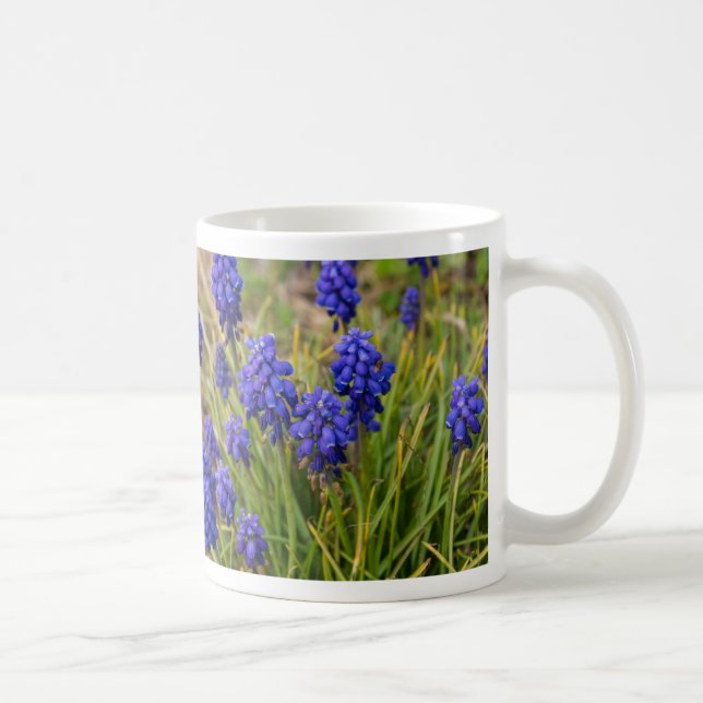 Caneca De Café Grape Hyacinths Family Coffee Mug (Direita)