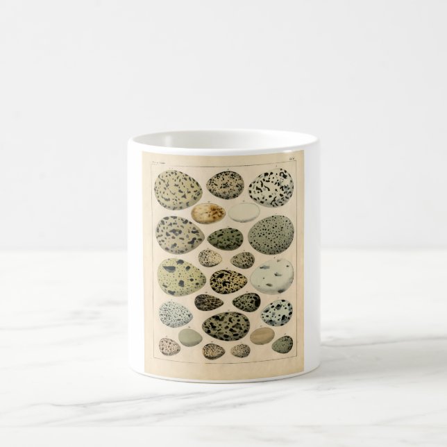 Caneca De Café Gravura a água-forte zoológico clássica - ovos do (Centro)