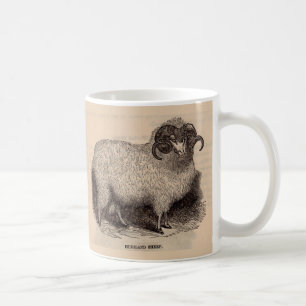 Caneca De Café Gravura do século XIX de ovelhas das Terras Altas