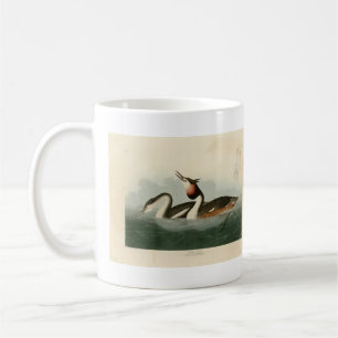 Caneca De Café Grebe Deitada com excelente - Pássaros da América 