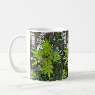 Caneca De Café Green Leaves Mug - Foto botânica de Tenerife