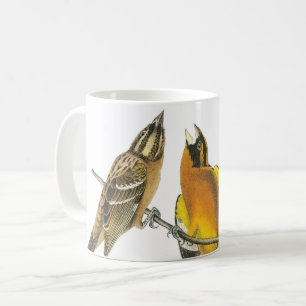 Caneca De Café Grosbeak de cabeça-negra de Audubon