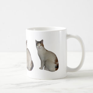 Caneca De Café Grupo da chita