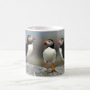 Caneca De Café Grupo de Papagaios-do-Atlântico