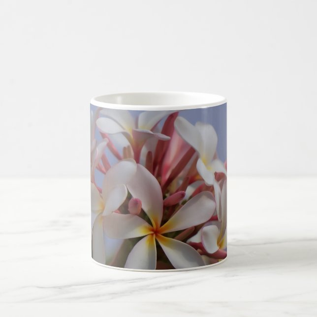Caneca De Café Grupo do Plumeria (Centro)