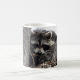 Caneca De Café Guaxinim sonolento