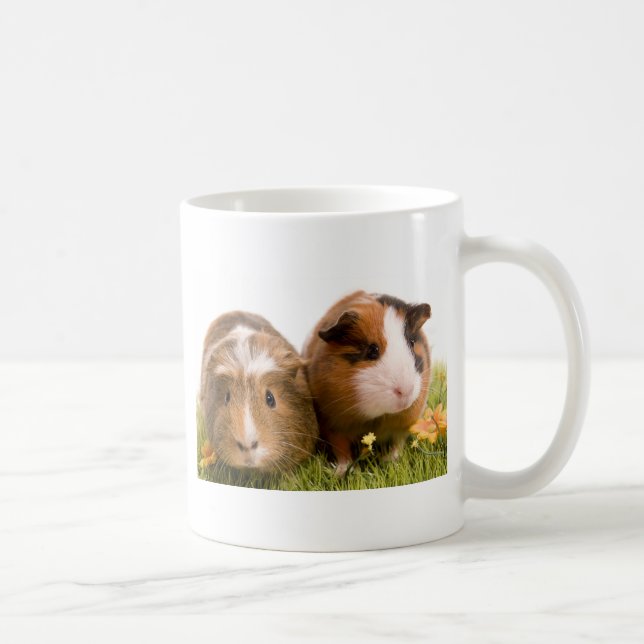 Caneca De Café guinea pigs tem-se lawn (Direita)