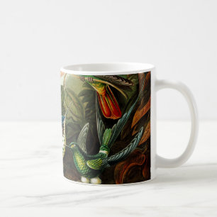 Caneca De Café Haeckel Hummingbird