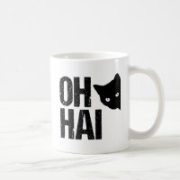 Hai Engraçado Cat