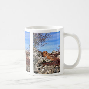 CANECA DE CAFÉ HARE