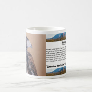 Caneca De Café Harris Hawk imaturo