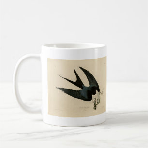 Caneca De Café Hawk de cauda andorinha - Aves da América de Audub