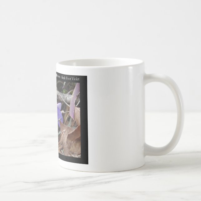 Caneca De Café Hot Springs National Park, AR Presentes Violetas S (Direita)
