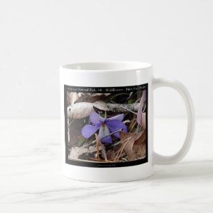 Caneca De Café Hot Springs National Park, AR Presentes Violetas S