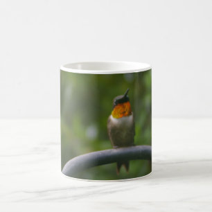 Caneca De Café Hummingbird