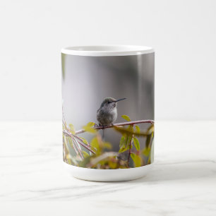 Caneca De Café Hummingbird 3346