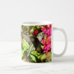 Caneca De Café Hummingbird Coffee Mug de BirdingCollectibles
