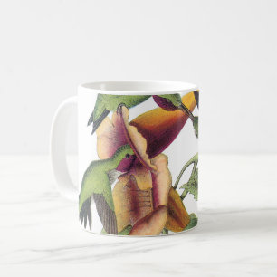 Caneca De Café Hummingbird com garganta de rubi por Audubon