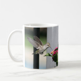 Caneca De Café Hummingbird, Mug