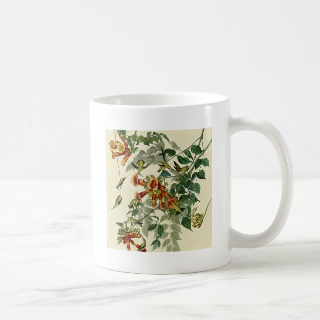 Caneca De Café Hummingbird Ruby Throbon Audubon (Direita)
