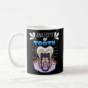 Caneca De Café Humor Dentista Da Anatomia Dos Dentes Para Ortodon