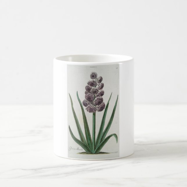 Caneca De Café Hyacinth Flower (por Johann Michael Seligmann) (Centro)