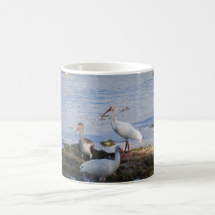 Caneca De Café Íbis 3 na costa da baía de Florida
