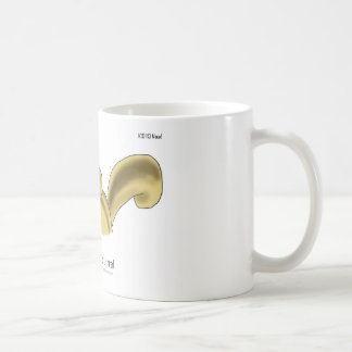 Caneca De Café ICD-10: W53.21 mordido pelo esquilo