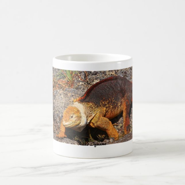 Caneca De Café Iguana da terra de Galápagos (Centro)