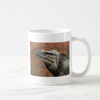 Caneca De Café Iguana do rinoceronte