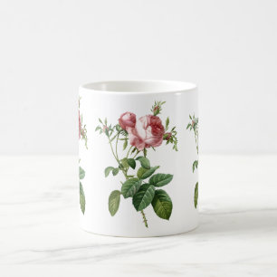 Caneca De Café Ilustração botânica de rosa rosa vintage, Redoute